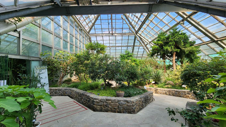 난대온실내부-1