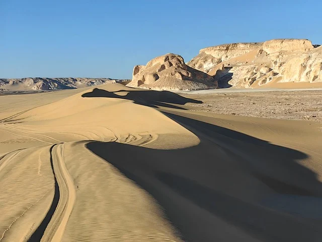 여권재발급 온라인신청