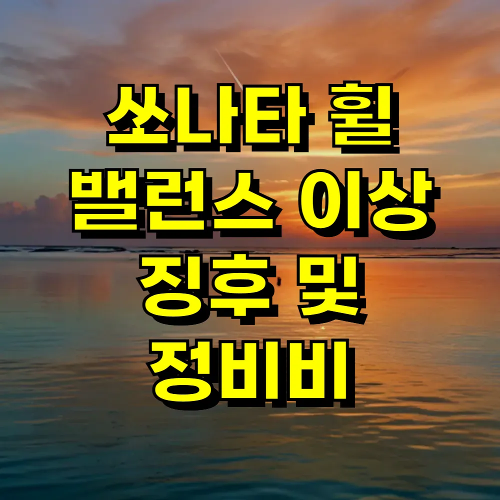 쏘나타 휠 밸런스 이상 징후 및 정비비