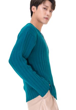 가수 최우진