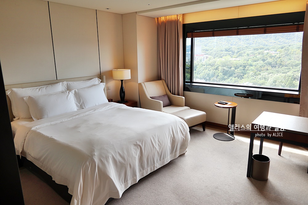 서울 호캉스 추천 5성급 호텔 BEST 06 신라호텔, 몬드리안, 반얀트리 포함