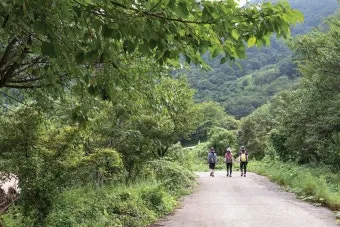 걷기좋은 숲길 50 서울 전남 경북_17