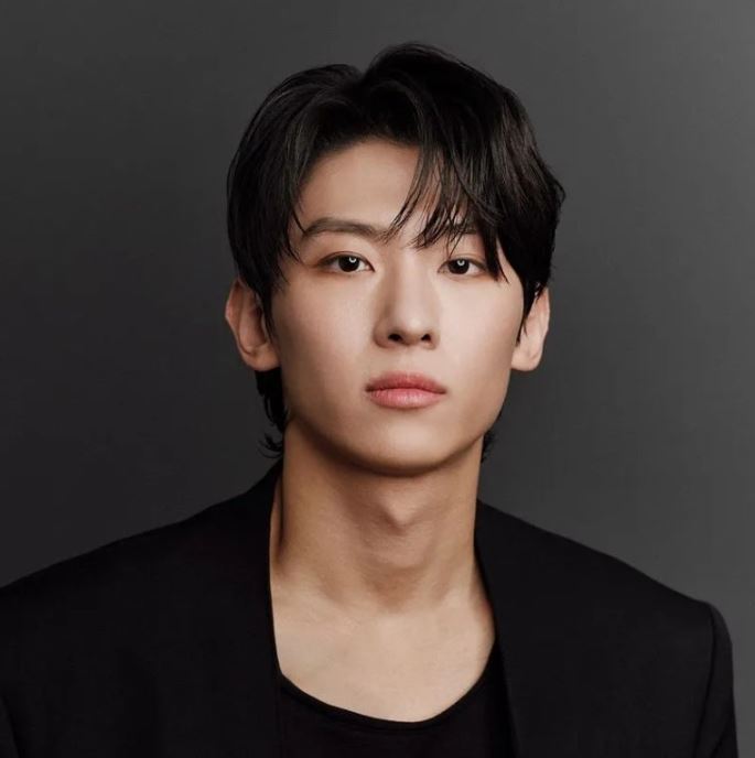 덱스 프로필