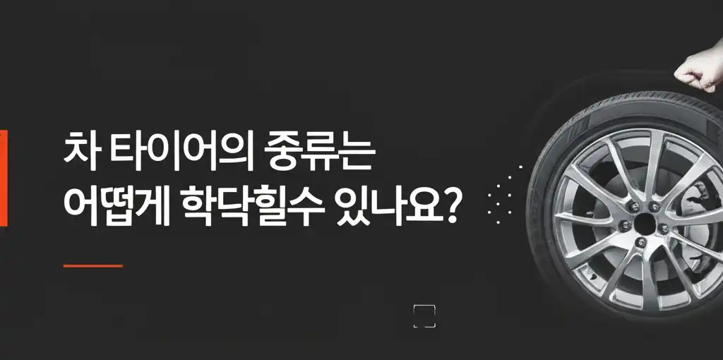 내 차 타이어의 종류를 확인하는 방법을 알려주는 대표 이미지
