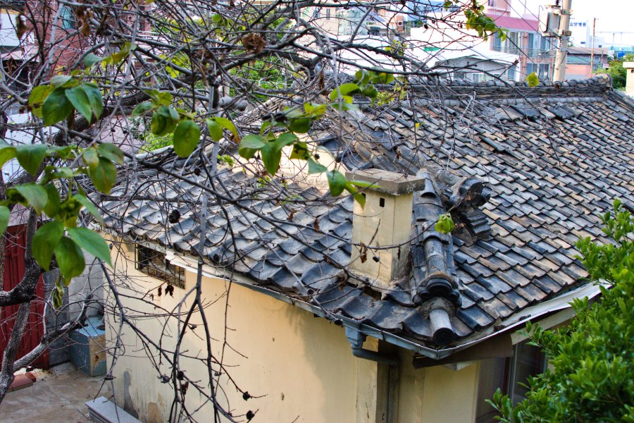 동삼1구역 재개발 지역