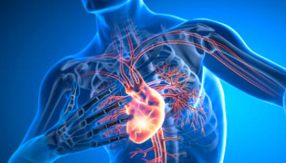 혈압 정상 수치와 혈압 낮추는 법