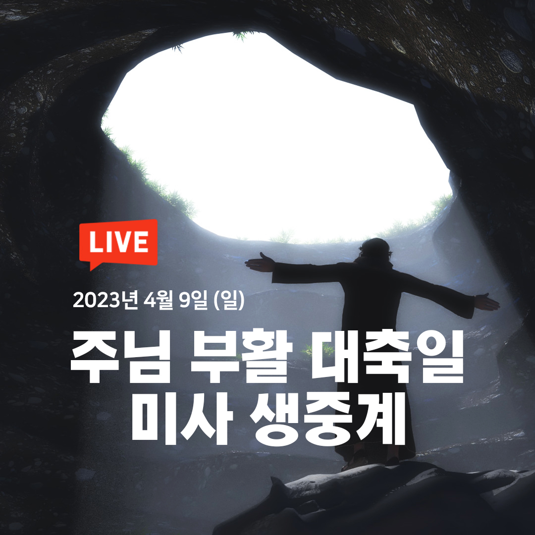 23년 부활절 미사 생중계