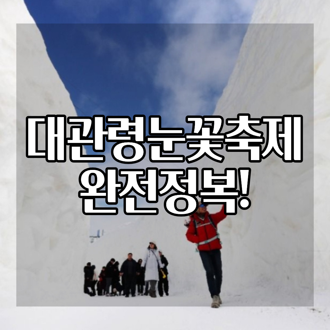 2026 대관령눈꽃축제 가볼만한 곳 BEST 8 체험존부터 동계스포츠까지 완벽 정리