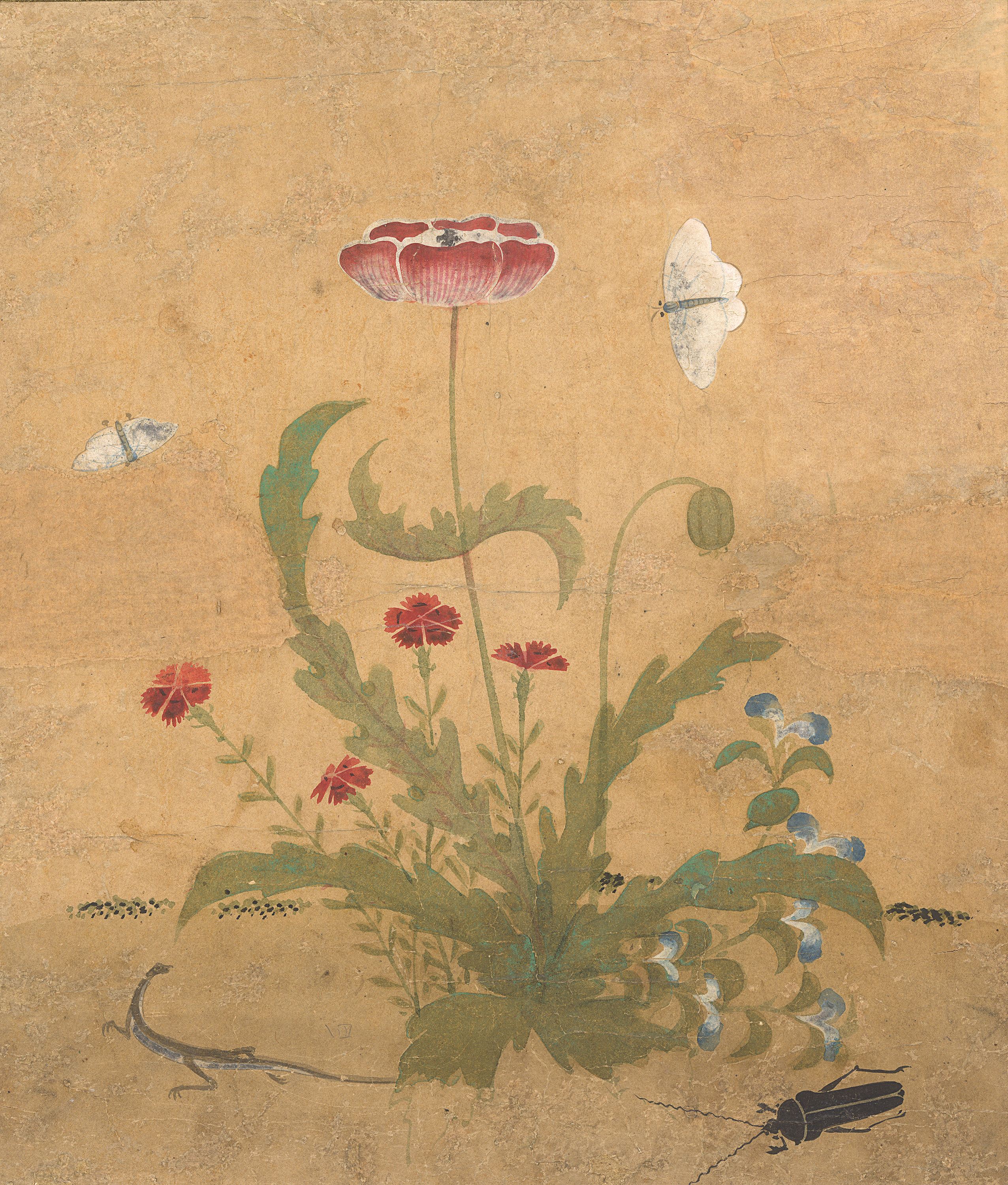 신사임당필 초충도(傳申師任堂筆草蟲圖)