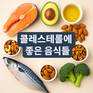 콜레스테롤에 좋은 음식들