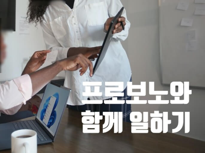 프로보노 정의