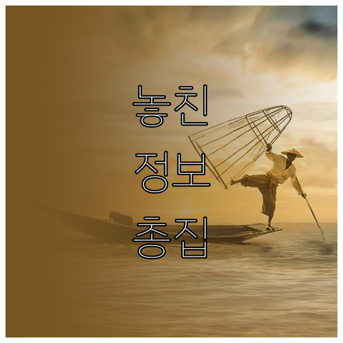창의력 쑥쑥! 비싼 장난감 대신 활용..