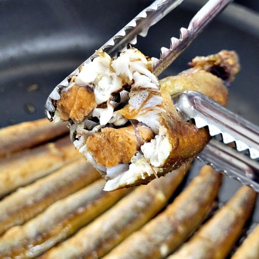 속초가면-꼭-먹어야-하는-추천음식-14종-및-해당-추천메뉴-맛집소개