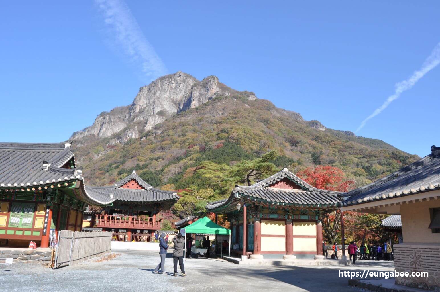 내장산 단풍