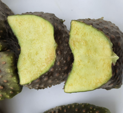 하늘마 효능 재배방법 먹는방법 등 알아보기(최신 Ver)