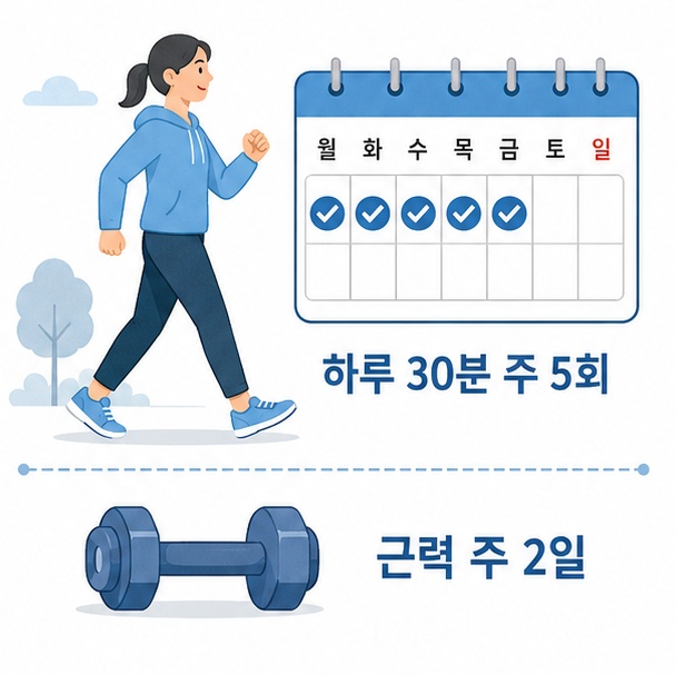 콜레스테롤 관리 운동 강도와 횟수 기준