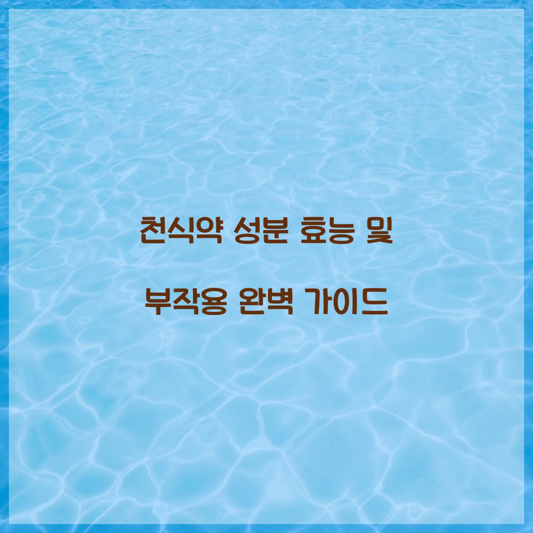 천식약 성분 효능