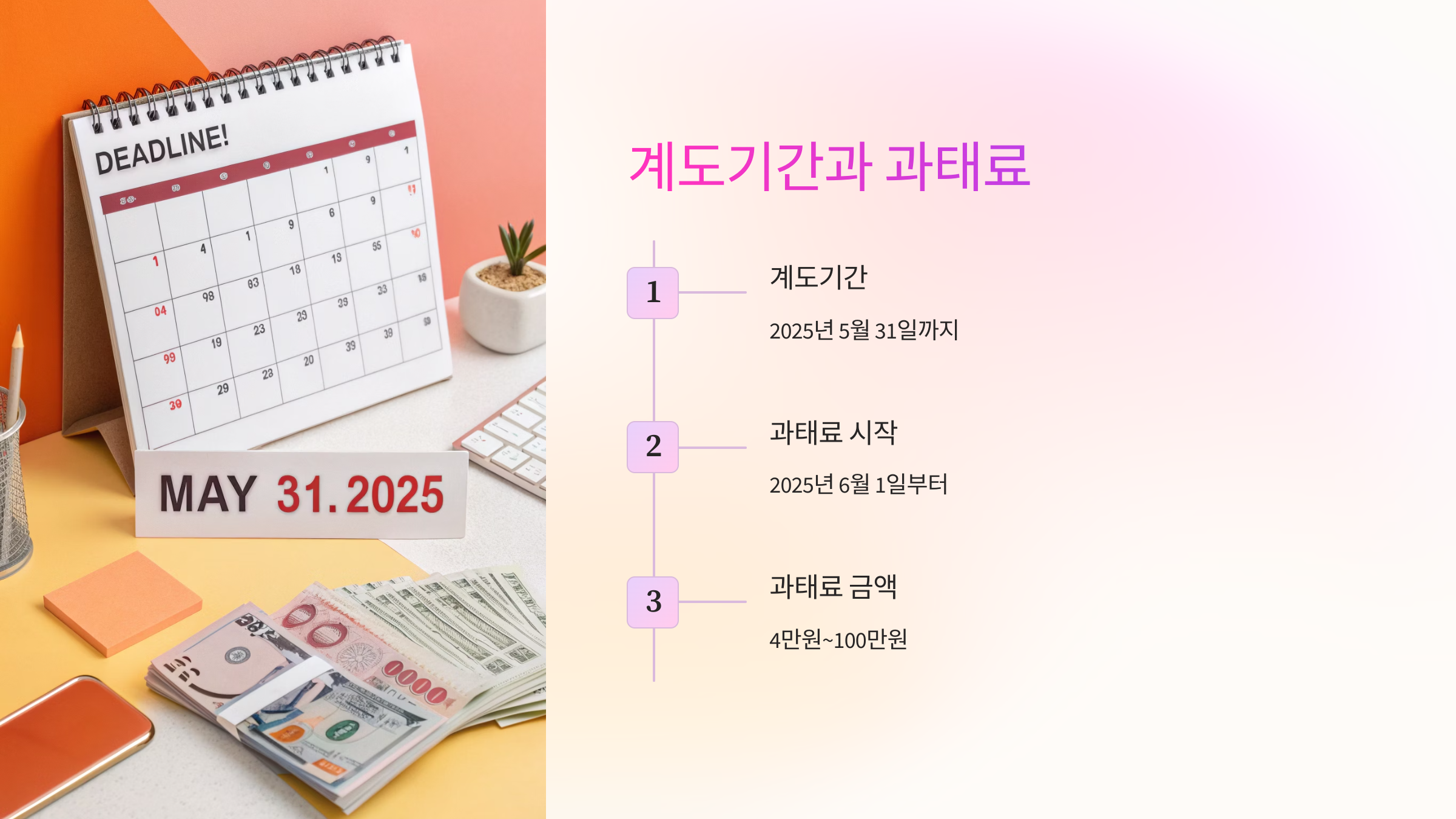 📅 계도기간과 과태료 기준