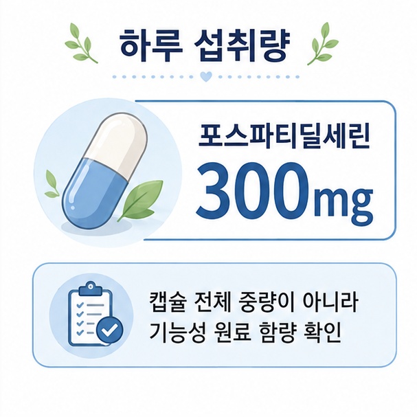 포스파티딜세린 하루 섭취량 300mg과 캡슐 전체 중량이 아닌 기능성 원료 함량을 확인해야 한다는 설명 이미지