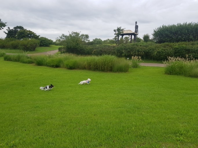 서울 도심 속 반려견과 산책하기 좋은 공원 BEST 6 관련 사진