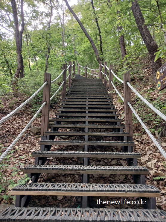 Wooden stairs in the forest of Achasan trail-아차산 숲속에 설치된 나무 계단