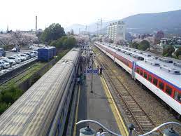  진해군항제 프로그램