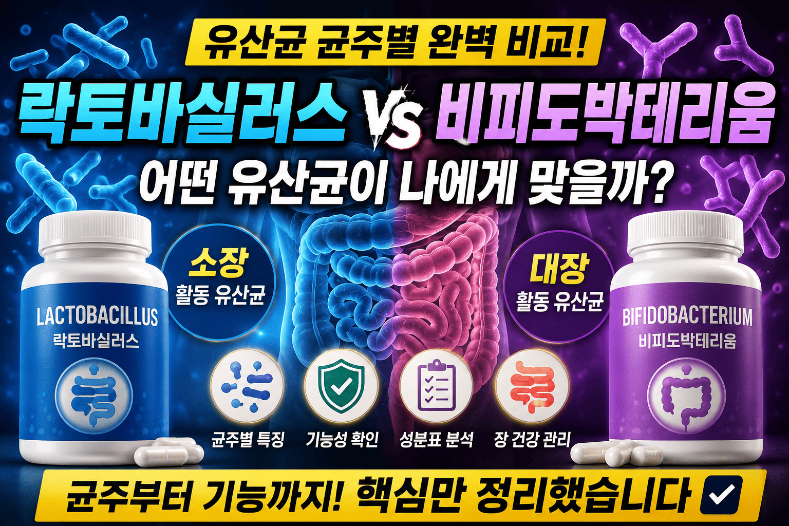 유산균 균주별 비교 (락토바실러스, 비피도박테리움, 기능)