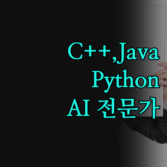 막막했던 C++, Java, Pyth