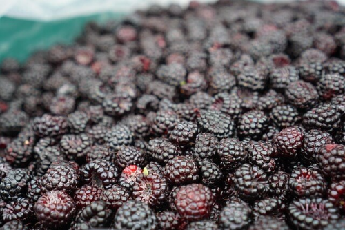 산딸기 효능 총정리! 영양 성분부터 다이어트&middot;피부미용 효과까지