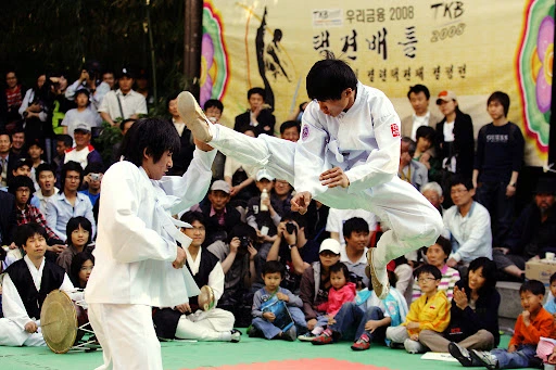 택견 기술 솟구쳐 곁차기