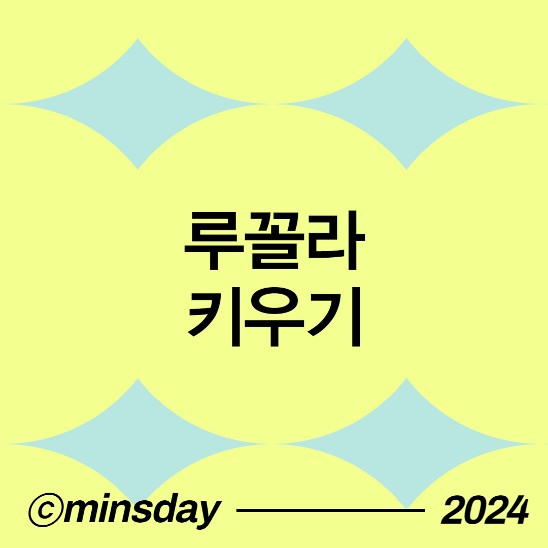 루꼴라 키우기