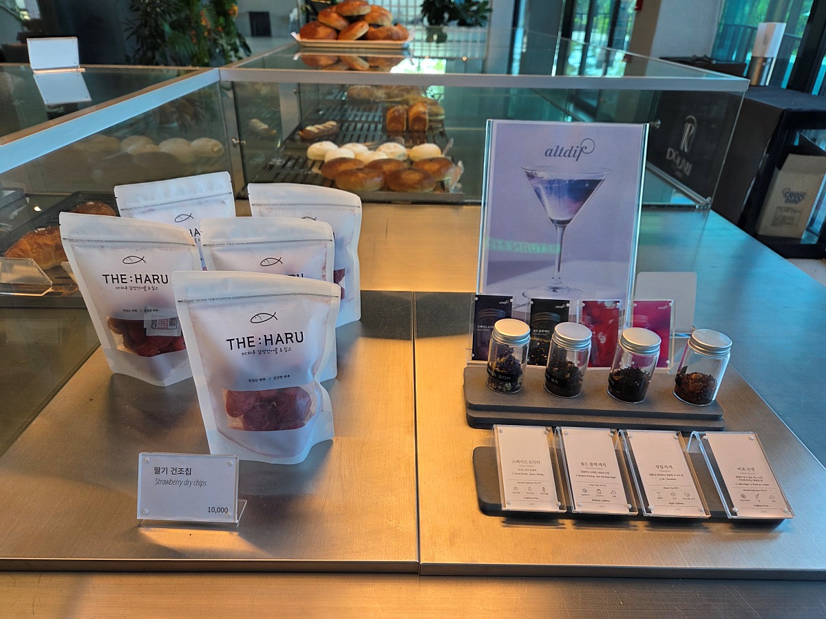 강화도 대형카페 두운리, 초록의 목수국 정원까지 즐기는 강화도 갈만한곳