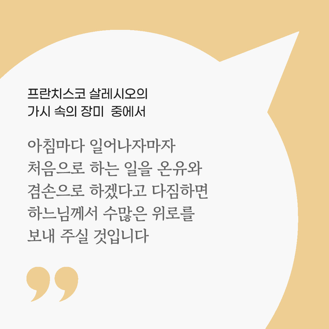 아침마다 일어나자마자 처음으로 하는 일을 온유와 겸손으로 하겠다고 다짐하면 하느님께서 수많은 위로를 보내 주실 것입니다. (프란치스코 살레시오의 가시 속의 장미 중에서) by 피어나네 마음을 살리는 가톨릭 명언 이미지