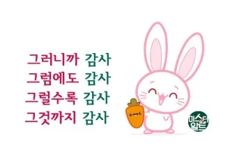msg 란_10