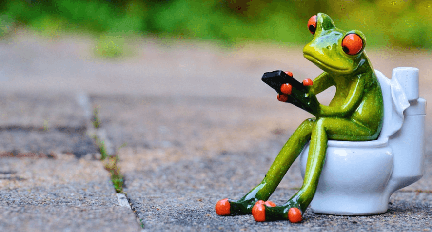 혈변이 나오는 이유 대변 보는 모습