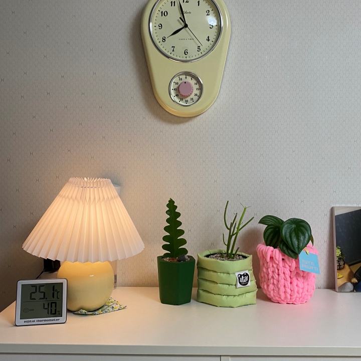 파티오라금 처음