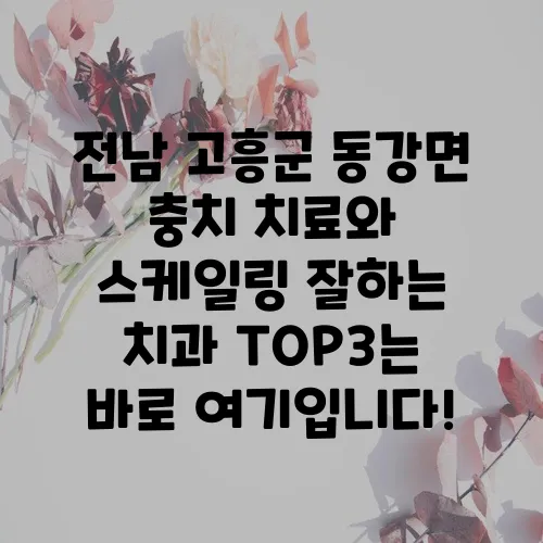 전남 고흥군 동강면 충치 치료와 스케일링 잘하는 치과 TOP3는 바로 여기입니다!