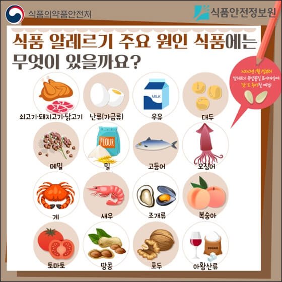 토마토와 알레르기