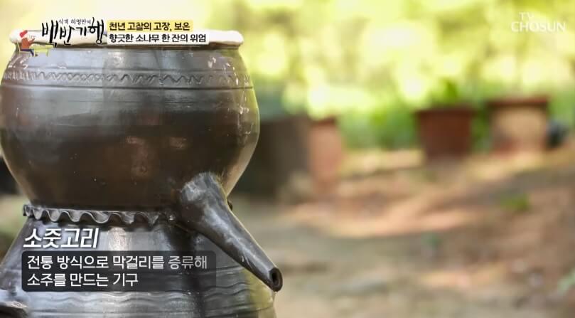 식객 허영만의 백반기행 299회 정일우의 보은 밥상 충북 보은 자연산 버섯전골 맛집 구병산골가든