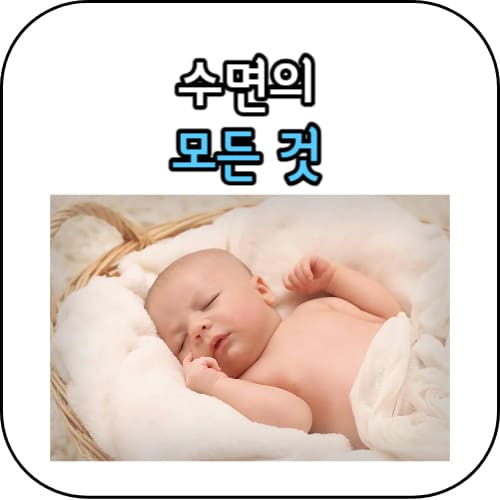 수면