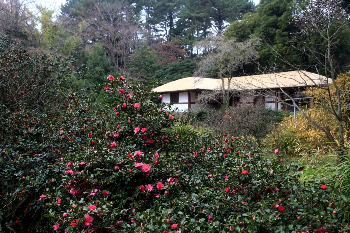 🌸 여행 경비 아끼는 법? 숙박·렌터카 할인은 필수입니다.