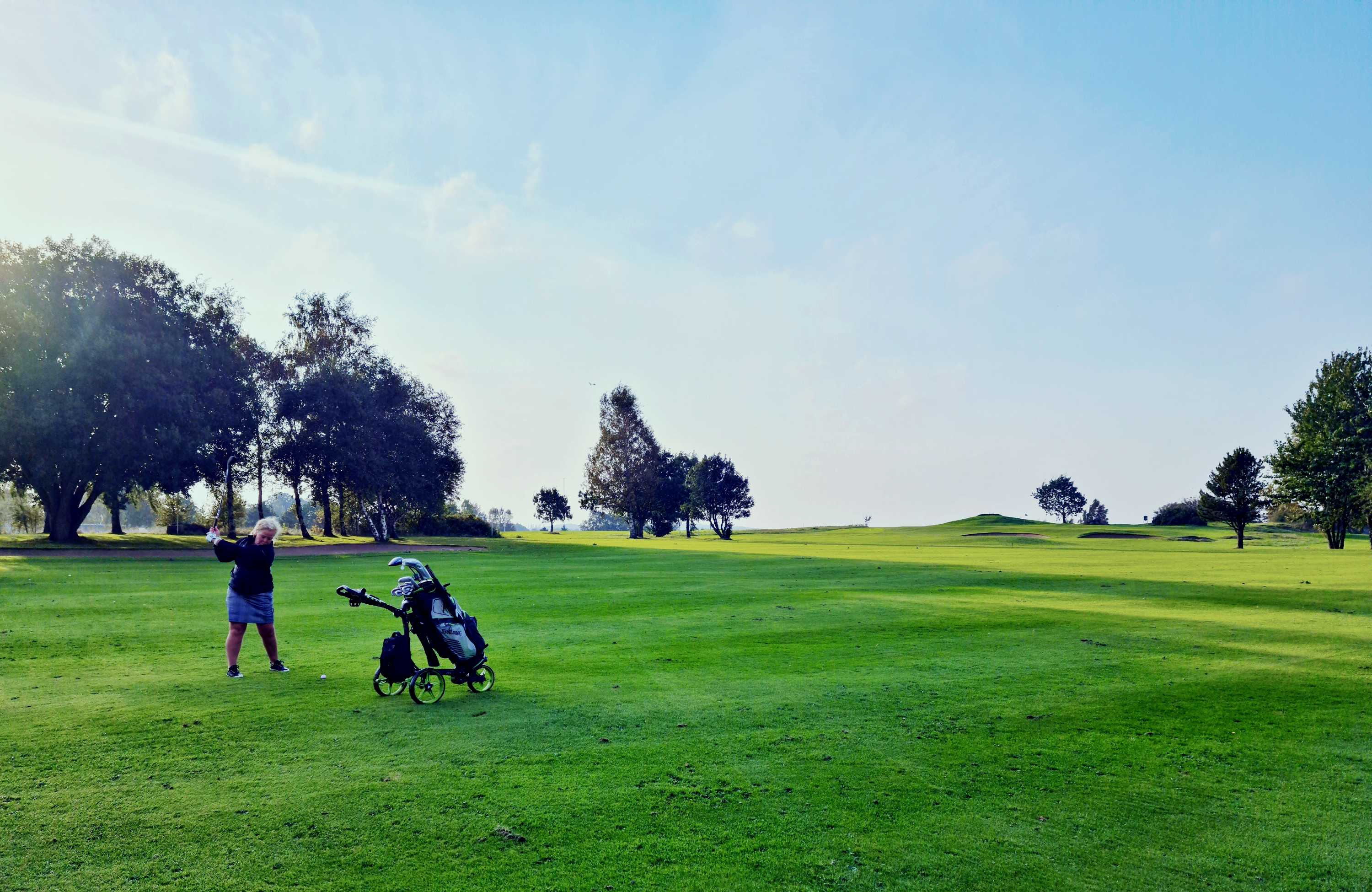 골프드라이버스윙
