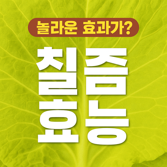 칡즙 효능