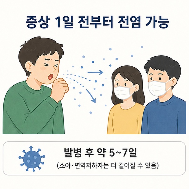 독감은 증상 발생 약 하루 전부터 전염될 수 있고 성인은 발병 후 약 5일에서 7일까지 감염력이 이어질 수 있음을 설명한 이미지