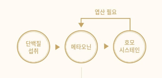 엽산