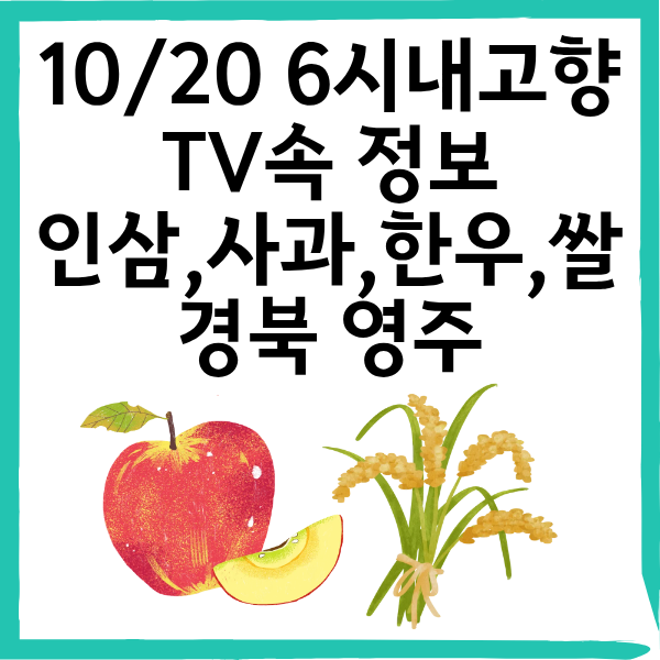2025년 10월 20일 6시 내고향｜경북 영주 인삼&middot;사과&middot;한우&middot;쌀 특집 방송 핵심 정리