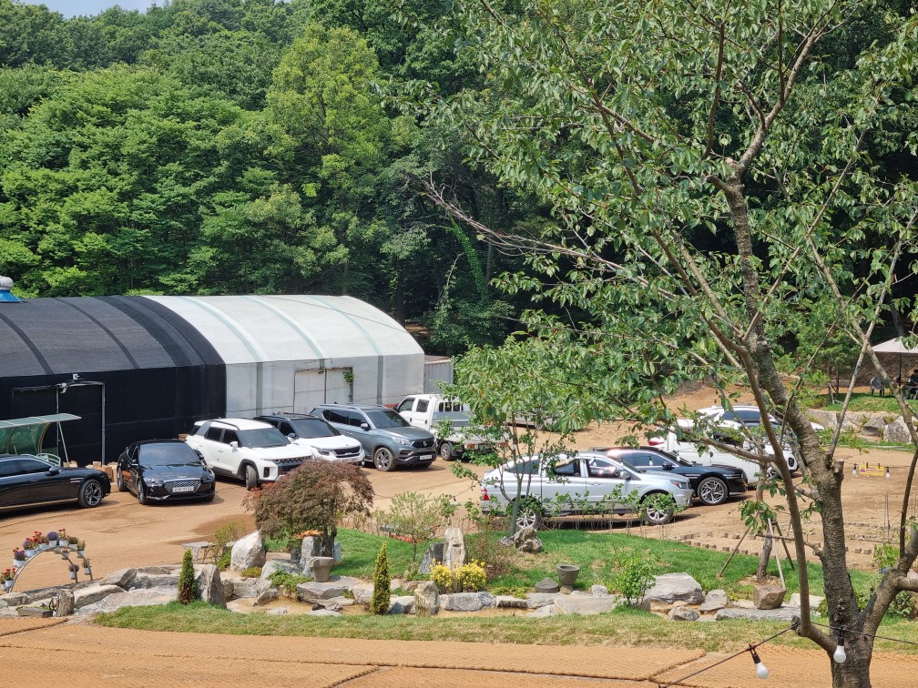 경기도 시흥 산골수목원: 연분홍 수국이 있는 식물원 카페