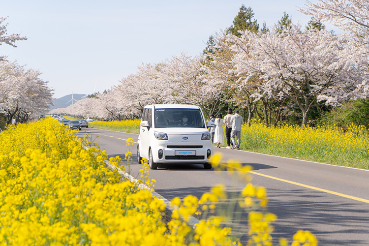 제주도 렌트카 가격비교 방법 + 꿀팁(체크리스트), 21% 할인 + 5% 추가 중복 할인코드(최저가 예약방법)까지!