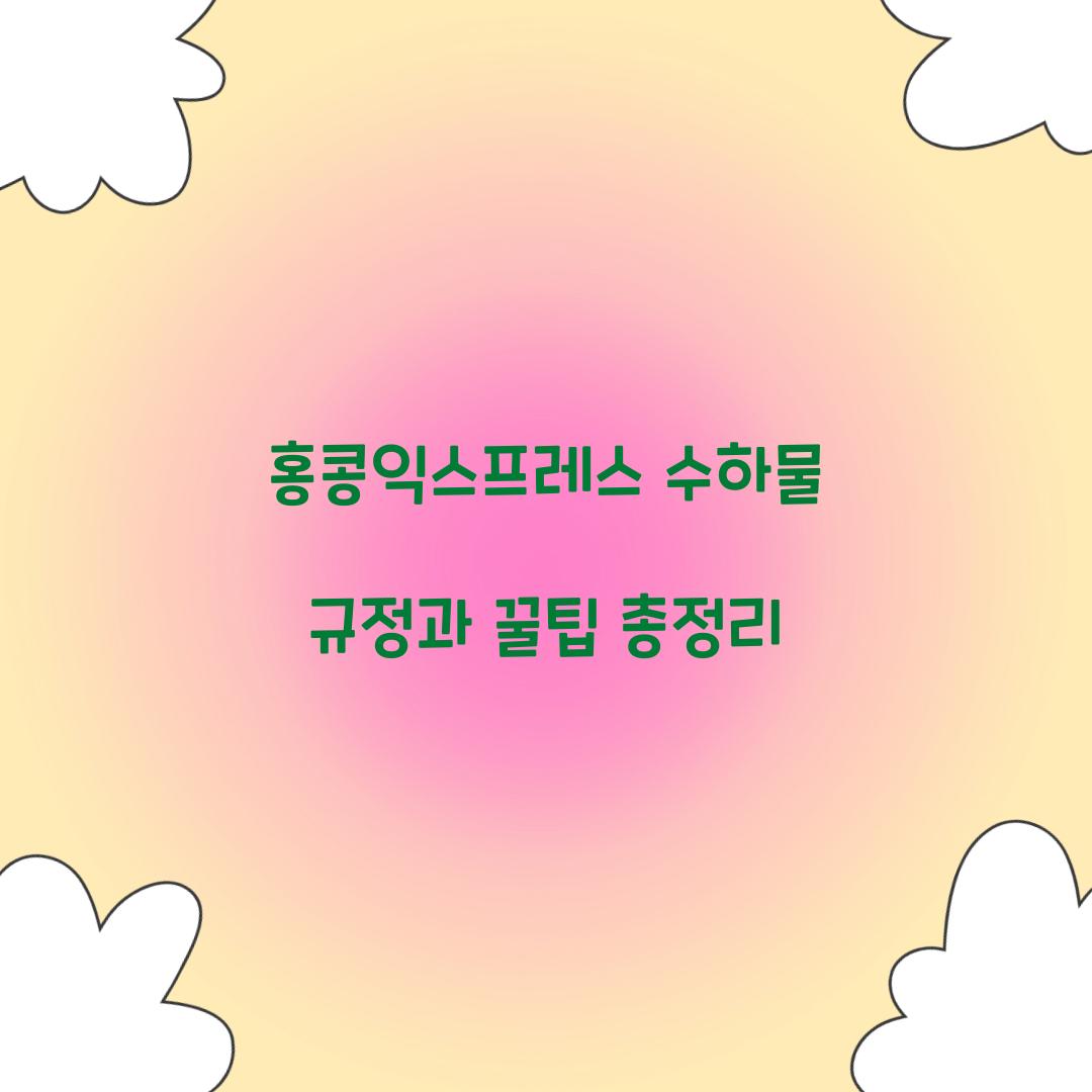 홍콩익스프레스 수하물