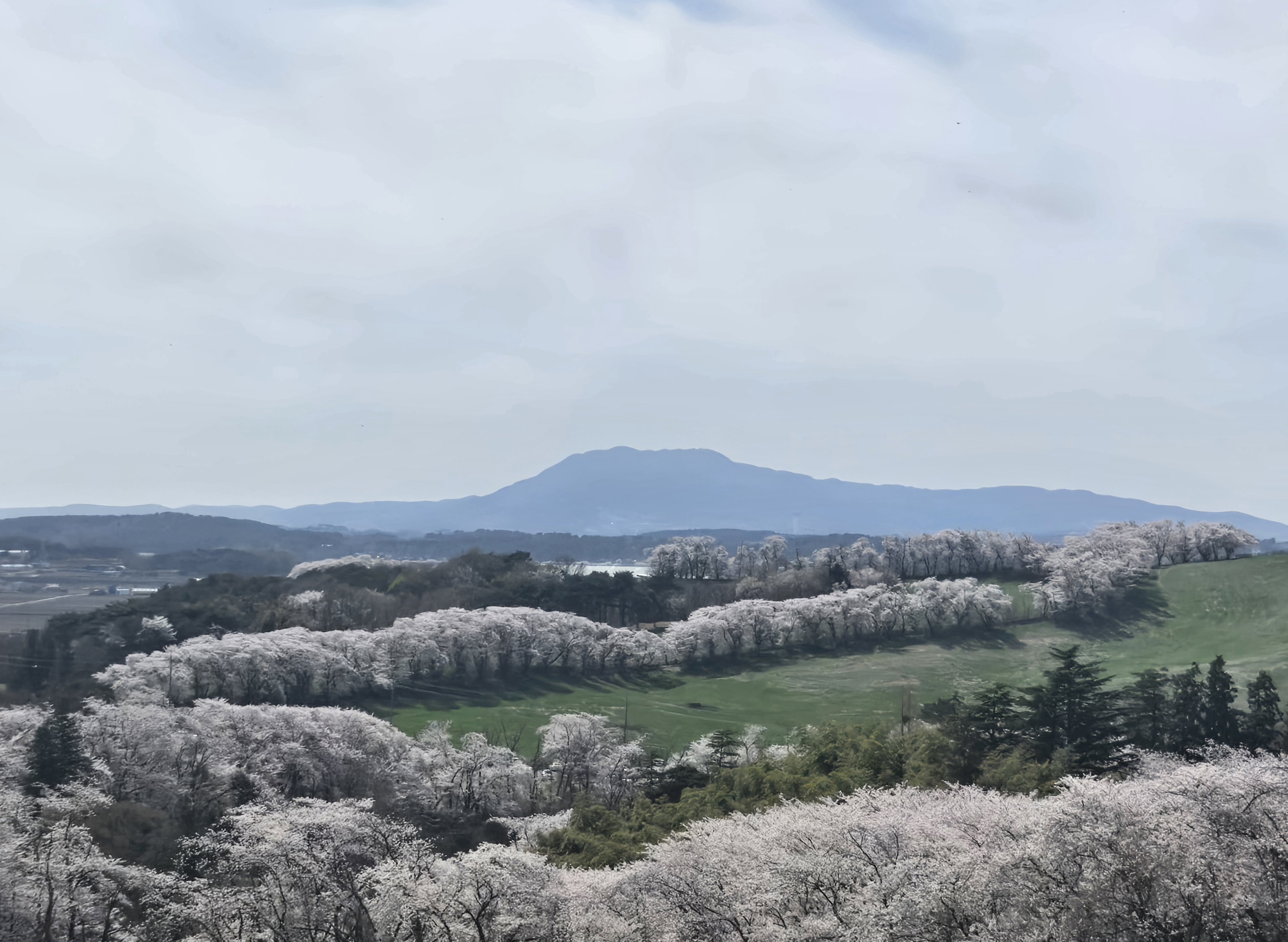 서산한우목장 웰빙산책로